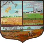 Escudo aguada.jpg