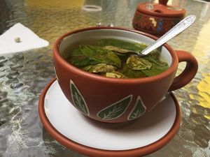 Mate de coca.jpg