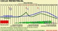 Miniatura de la versión del 15:41 15 abr 2011