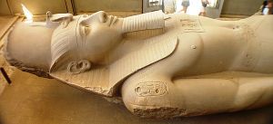 Coiloso de ramses.JPG