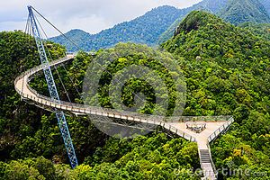 Puente-colgante-curvado-38380526.jpg