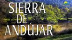 Veg andujar.jpg