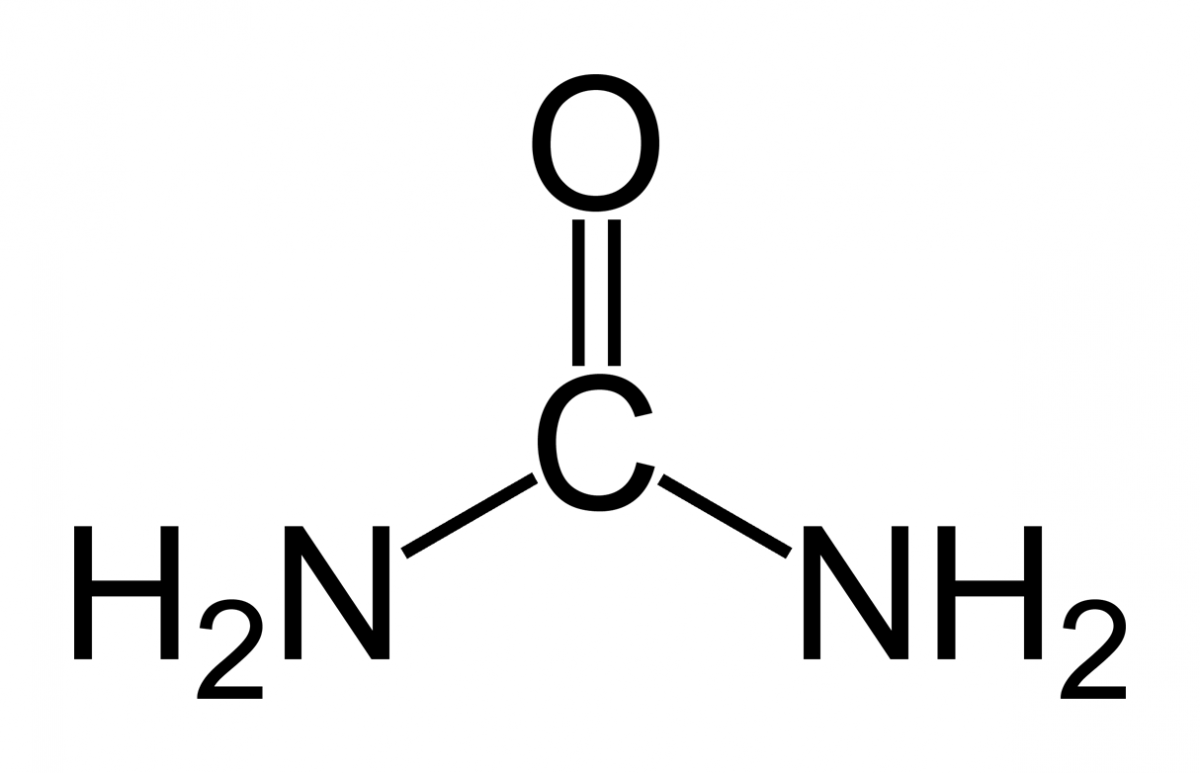 Carbamida EcuRed
