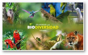 Diversidad Biológica.jpg