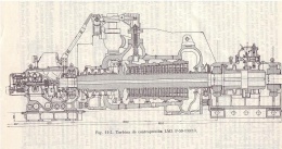 LMZp5013013.JPG