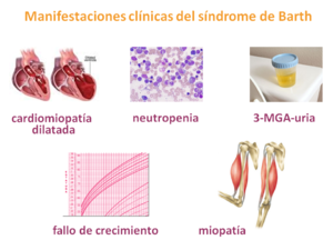 ManifestacionesBTHS.png