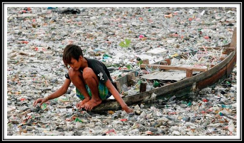 Archivo:Plastifera.jpg