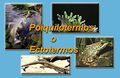 Miniatura de la versión del 10:20 5 jun 2021