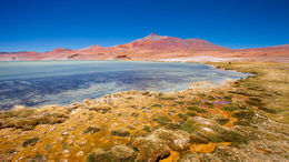 46 LagunaSantaRosaAlexFuentesC-6034.jpg