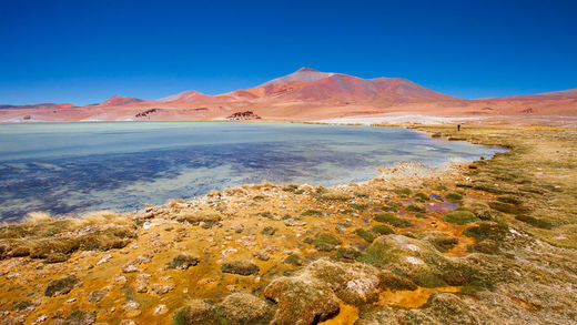 Laguna Santa Rosa - EcuRed