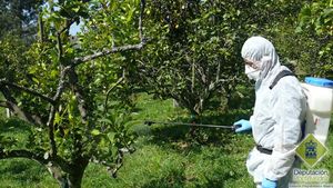 Abono foliar 2.jpg
