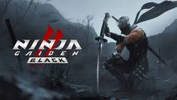 Ninja Gaiden 2 Black.jpg
