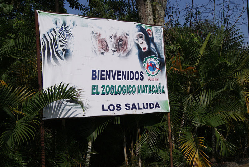 Archivo:Fd1859e7cc458886ec3b.jpg
