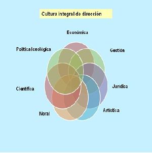 Made-Cultura integral de dirección.JPG