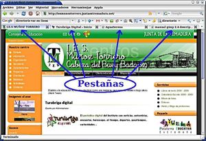 Navegación por pestaña.jpg