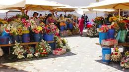 La plaza de Las Flores (Ecuador) - EcuRed
