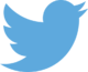 Portal:Twitter