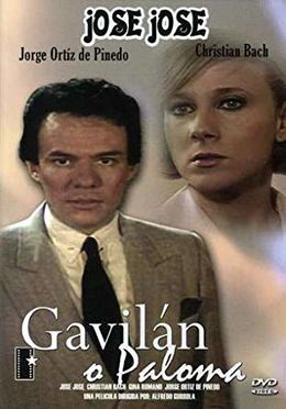 Gavilan o paloma.jpg