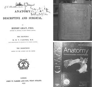 H. Gray, Anatomy descriptive and surgical(1ra6tay40Edicion).jpg