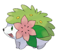 Pokemon Shaymin.png
