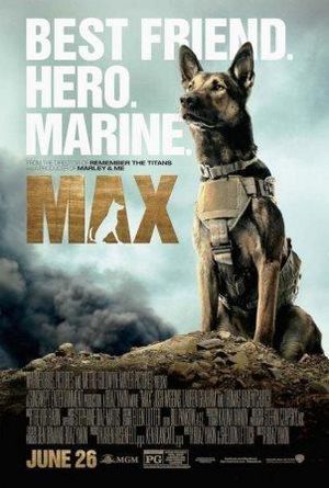 Trailller-max.jpg