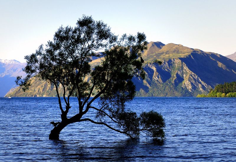 Archivo:Wanaka3.jpg