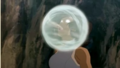 Screenshot 2021-09-15 at 10-08-22 Korra.png