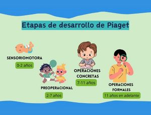 Etapas de desarrollo de Piaget.jpg