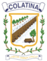 Escudo de Colatina