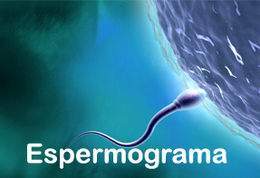 Espermograma001.jpg