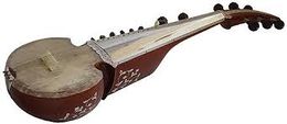 Sarod.jpg