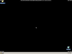 WindosXP Safe Mode.JPG