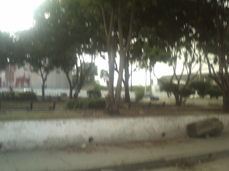 Archivo:El Platanal.JPG