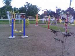 Gimnasiobiosaludablemayajigua.jpg