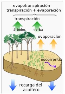 Balance del agua.jpg