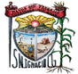Escudo de San Ignacio Cerro Gordo