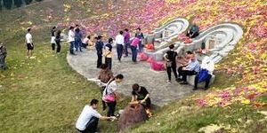 Fiesta Qingming.jpeg