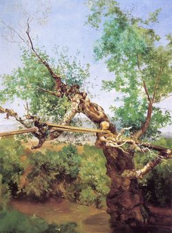 Puente rustico.jpg