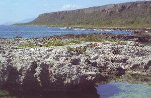 Siboney-Jutici.JPG
