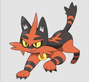 Torracat.jpg
