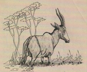 Damalisco.jpg