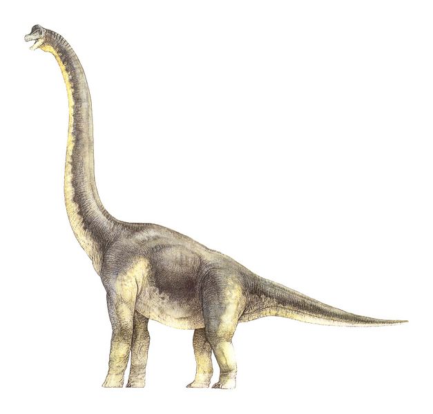 Archivo:Dinodocus.jpg