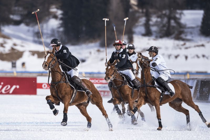 Archivo:Polo de nieve.8.jpg