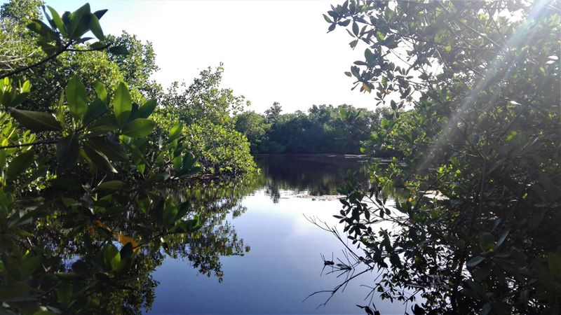 Archivo:Varahicacos Laguna.jpg
